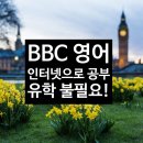 원어민 영어 (Level 1 Basic English (Vocabulary/Survival) | BBC로 영어 공부, BBC Learning English, 유학갈 필요 없어요!