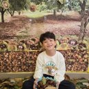 정토원광어린이집 이미지