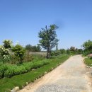 선월농장 이미지