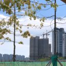 레이크힐Ⅰ | [임장일지] 평택 고덕신도시 아파트(1단계, 2단계) 부동산 임장