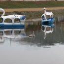 백세공원2 이미지