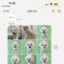 그루밍무무 이미지