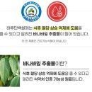 하루단백