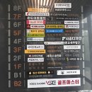 나무아이래쉬
