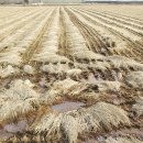 차씨축산 이미지