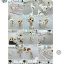 어울리개 이미지