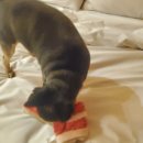 단양충전소 이미지