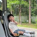 사파리월드 - 포천시 가산로240번길 31-1 | 사파리월드