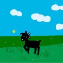 아기염소 이미지