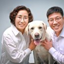 올리브트리스튜디오 이미지