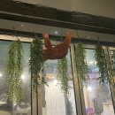 이야우와 | [서면 술집 추천] 잘못들어갔지만 찐 맛집이였던 ”이야우와“