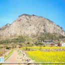 제주불교성지 순례길 절로가는길 - 선정의 길 이미지