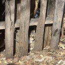 하평지길 이미지