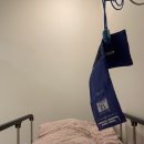 차다림 | [시험관배아이식 후기]3일배아2개이식당일 | 임테기노예 | 이식후 증상기록 | 이식9일차 피검사결과