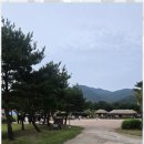 설화산펜션 | 아산펜션 자연 속에서의 완벽한 휴식, 아산 YJ 글램핑장 후기