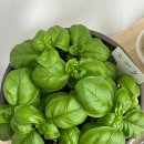 (주)반짝반짝 이미지