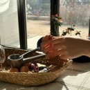 스테이 쉼 발산 | 이제 진짜들만 남았군, 진심인 사람들