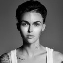 스텔라이 이미지