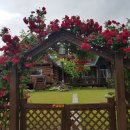 경주 수약국 이미지