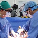 서울아산병원(서관) 이미지