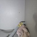 동탄공원로 이미지