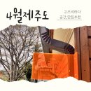 킨조베이커리