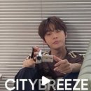 브리즈스토리