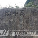 신효동-8 이미지