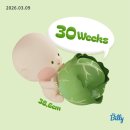 임신 30주차 일상 (30주 배크기 몸무게, 인천 말띠맘 정모, 베이비페어 하이브리드 코어3 절충형 유모차...