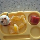 오바이오 이미지