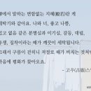 경북세탁소 KBS