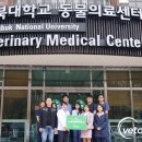 유기코리아 이미지