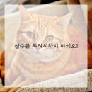 수채화(기초) 이미지