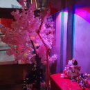 히츠지야 속초점 이미지