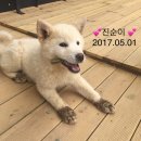 민지네 펜션 이미지