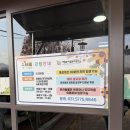 레일바이크공원강변 | 자라섬 이화원, 가평 당일치기 여행의 숨겨진 보석같은 연꽃정원 후기