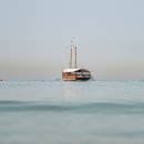 신라동물병원 이미지