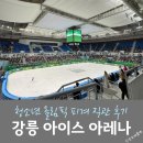 아이스아레나 | 강릉 아이스아레나 청소년 동계올림픽 피겨 경기 직관 후기
