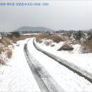 수산리-4 이미지