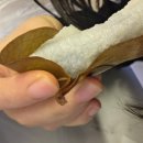 전통디저트 떡과 한과 | 용인 떡집 설송원, 늦게 가면 품절인 수지죽전 인기 떡맛집(생딸기모찌)