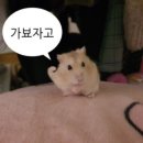 신전떡볶이(기장점) | [일상]5월 일상 가보자고(1)