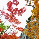 가야산관광펜션 이미지