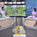 헬로조이 이미지