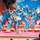 하쿠나마타타 이미지