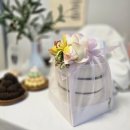 호시루 | 백일떡 예약 ㅣ 셀프 백일상 위해 찾아본 다산 호시루 솔직후기