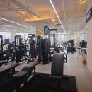 팀 비스트 이미지