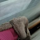 씨유 통영미진이지비아점 | 통영학교청소는 여기지! 우희 한번 조져봤다