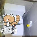 무지개전기조명 이미지