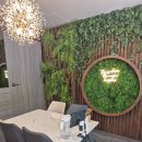 박성환 돈까스 이미지