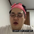 뭉구 애견 이미지